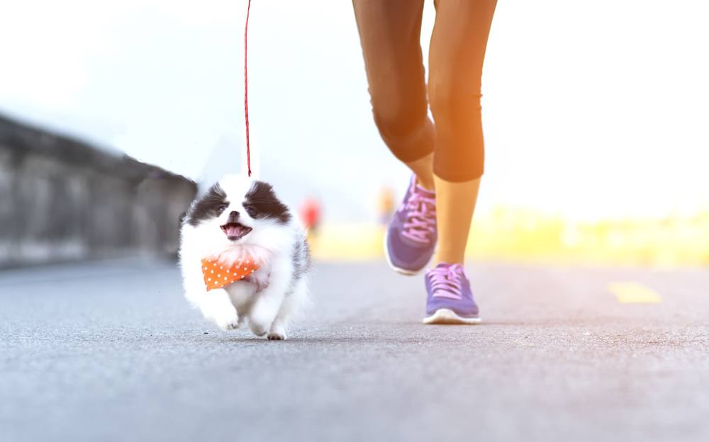 woman running with dog exercise
