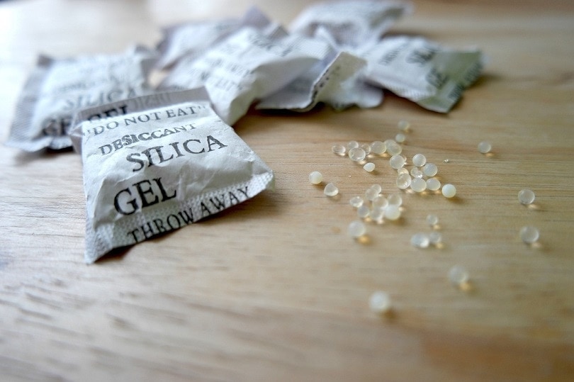 My Dog Ate Silica Gel! Here's What to Do (Vet Answers)