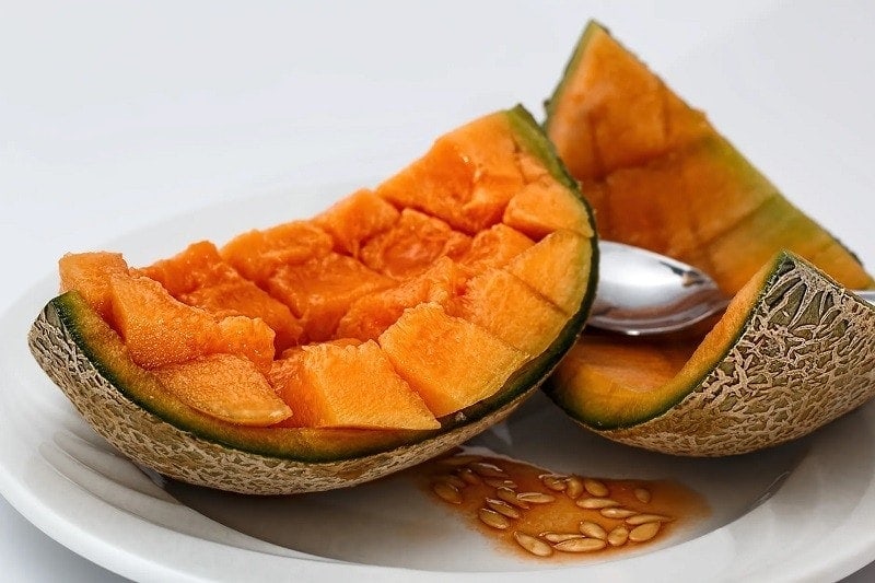 Is cantaloupe discount bad for cats