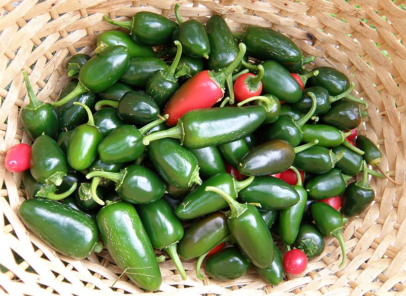 small jalapeno