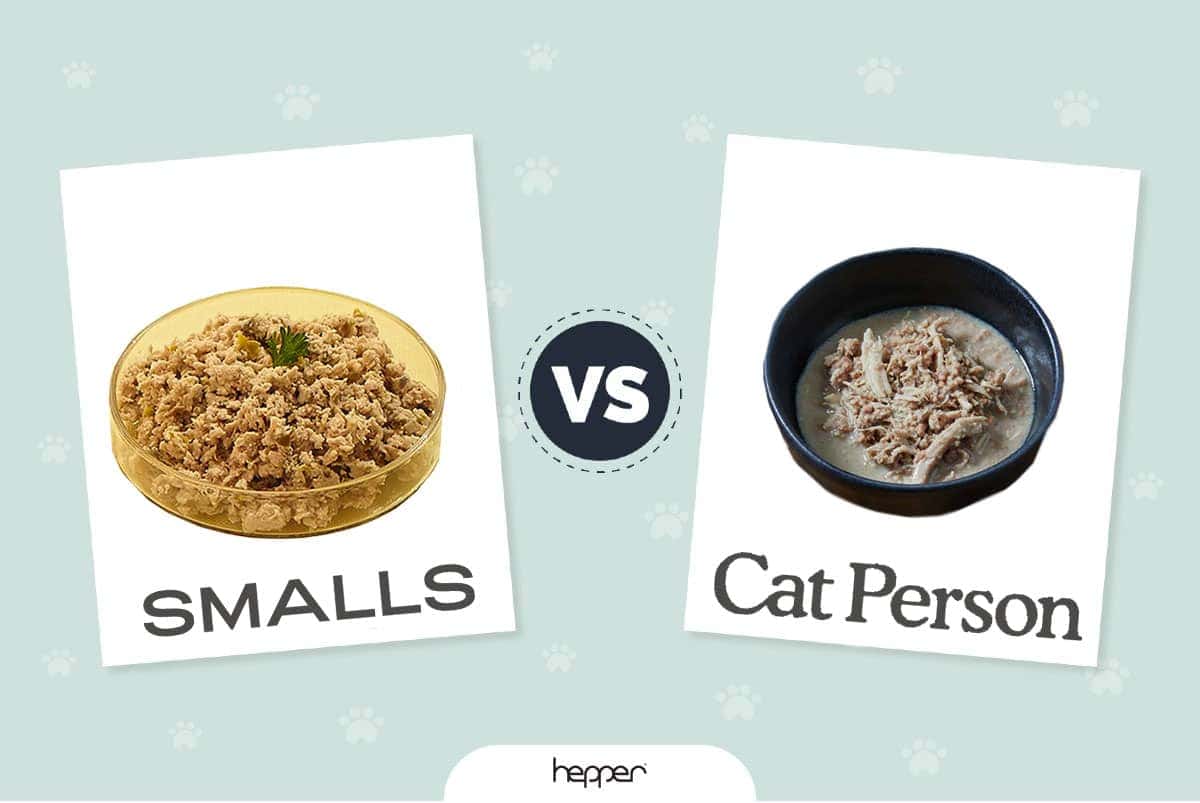 smalls vs cat person new feature