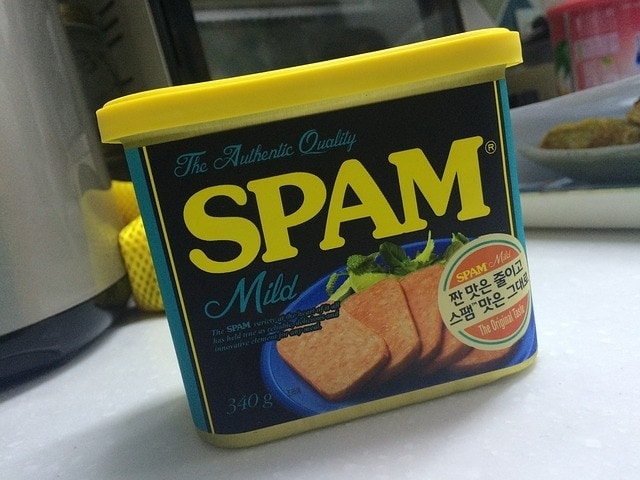 can dogs eat spam
