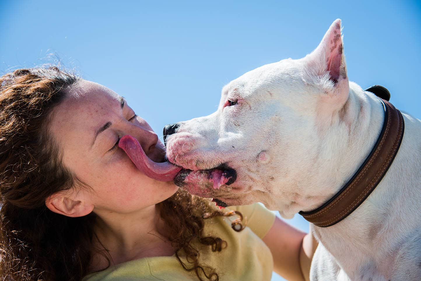 staffordshire licking woman