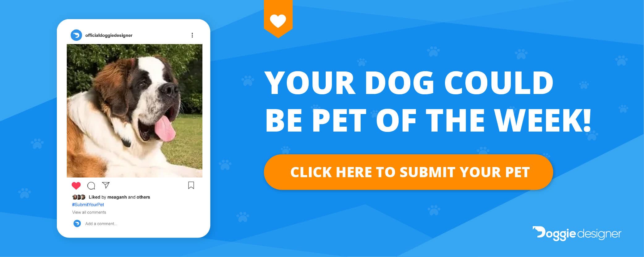 submit your pet saint bernard large dog