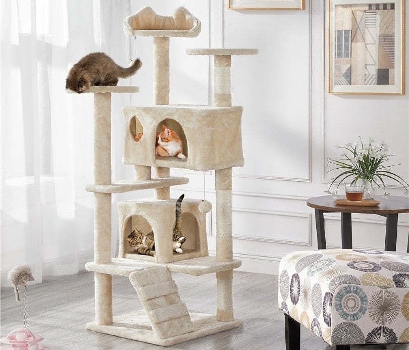 three cats playing on cat tree at home
