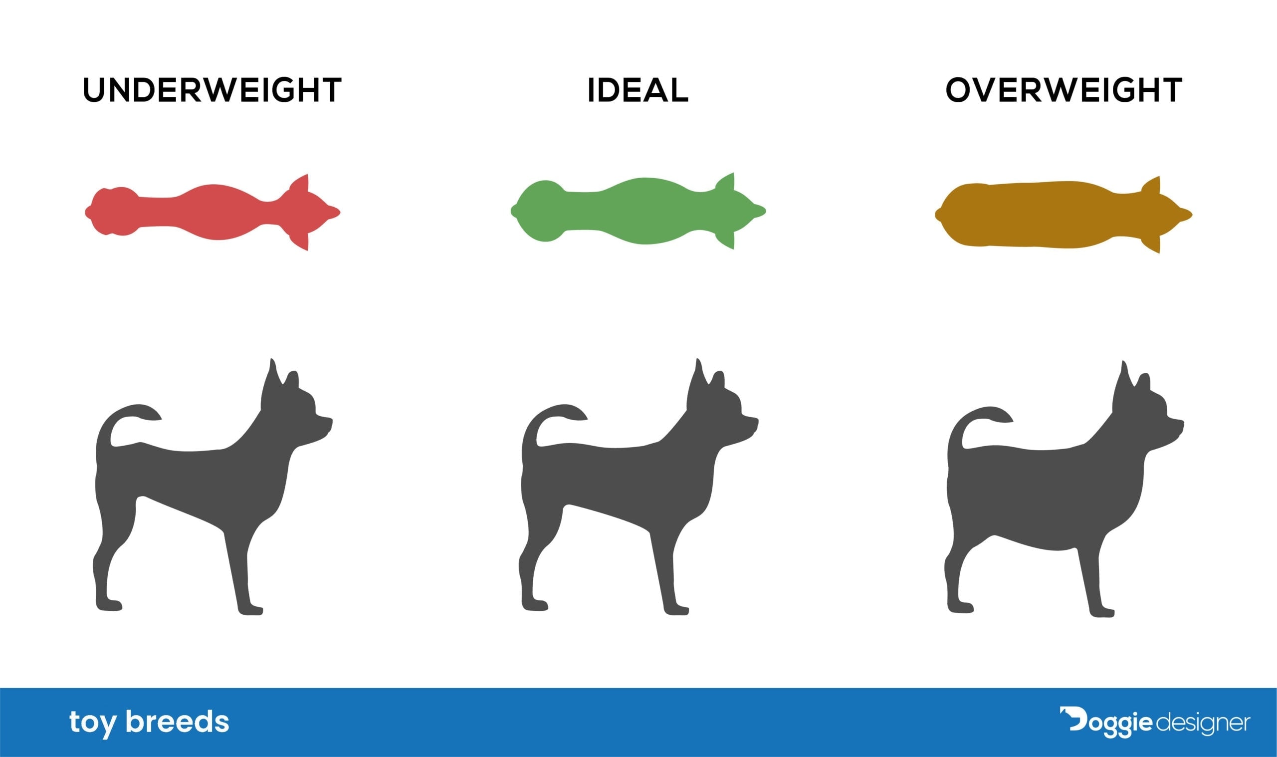 pomeranian puppy diet chart