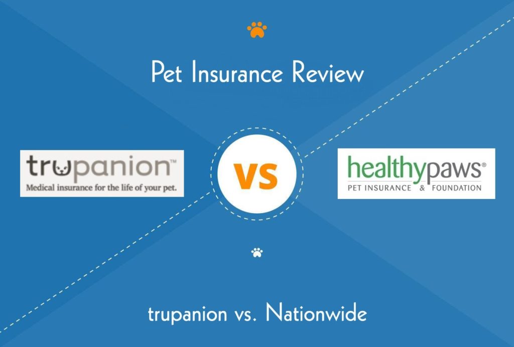 Trupanion vs. Healthy Paws Pet Insurance Which One’s Best? Hepper