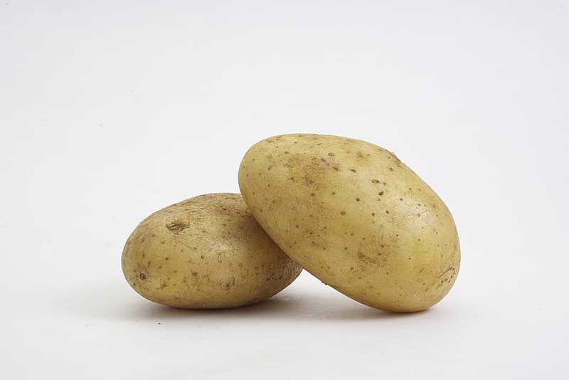 Can Dogs Eat Potatoes Are Potatoes Safe for Dogs Vet Verified