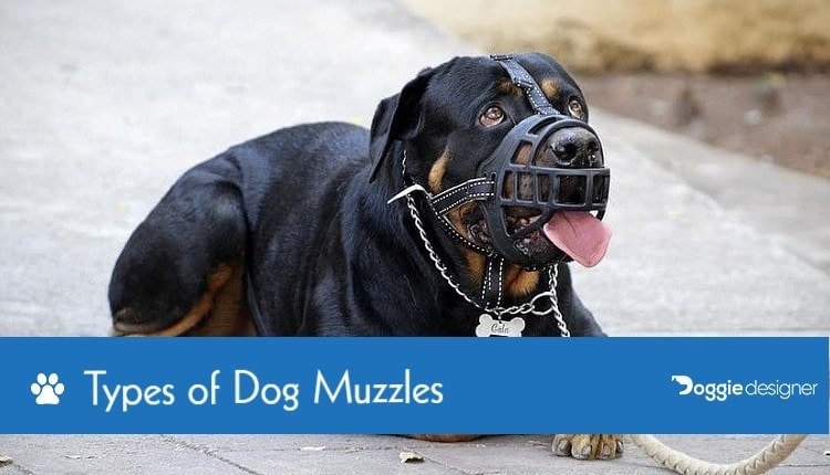 types of muzzles