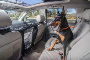using 4Knines Automotive Pet Deterrent Barrier