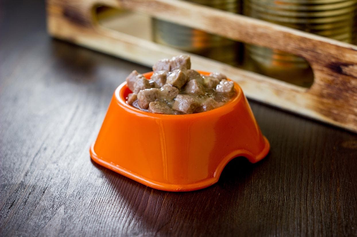 How Long Can Wet Dog Food Stay Out?