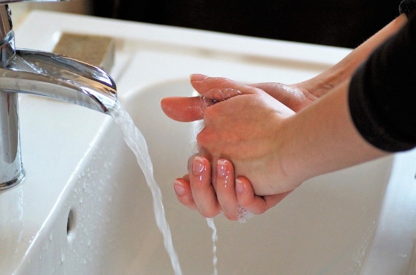 woman washing hands
