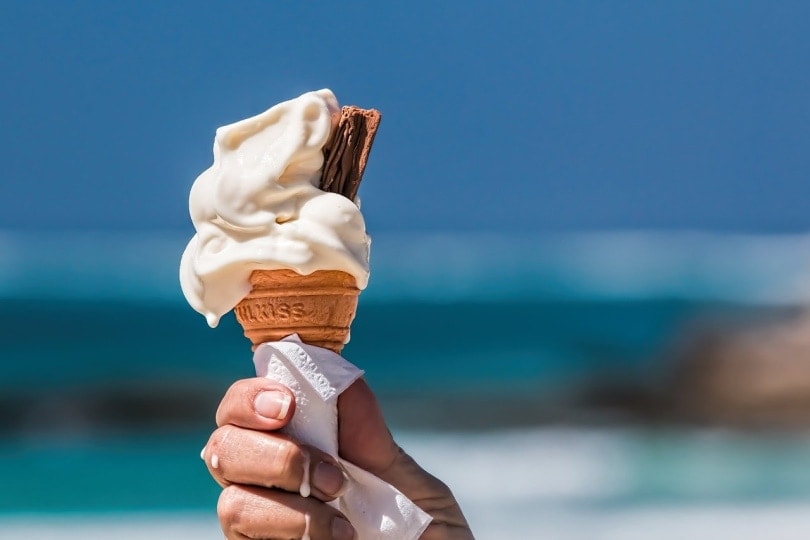 Ice cream in a cone melting