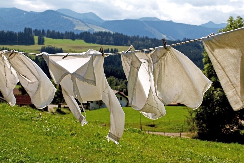 Laundry hanging from a clothesline