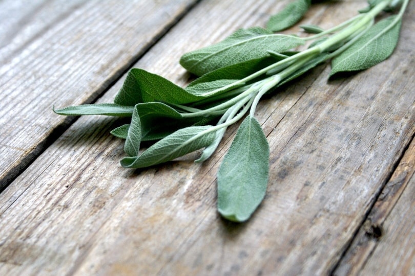Sage leaves on a table