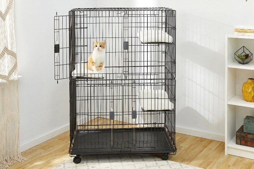cat cage cost