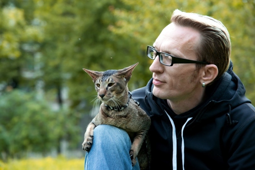 cat sit on man's lop