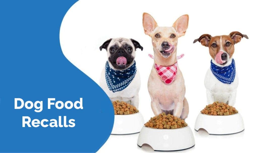 Top 5 Dog Food Recall August 2021