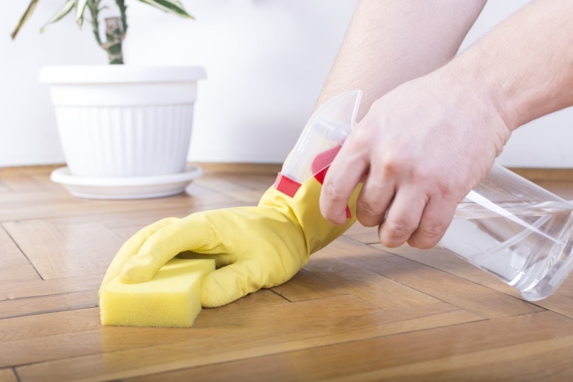 foor cleaning