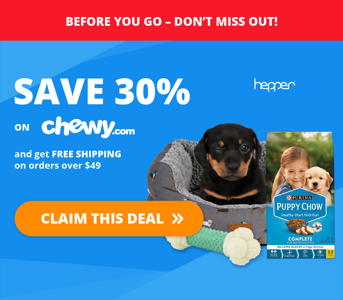 My Dog Ate Styrofoam Here S What To Do Vet Answer Hepper