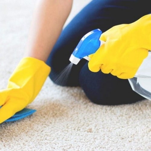 How to Get Dry Dog Pee Out of a Carpet 4 Fast & Easy Ways Hepper