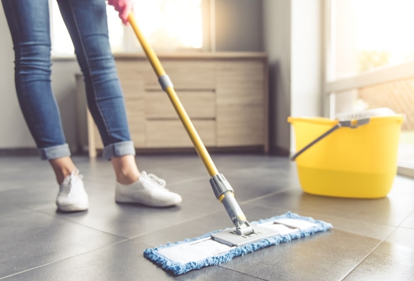 woman cleaning the floor