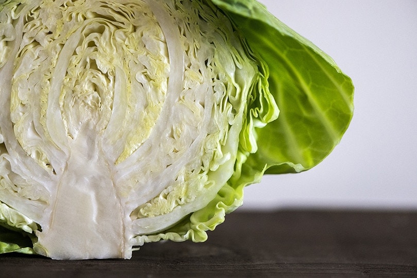 Cabbage Closeup