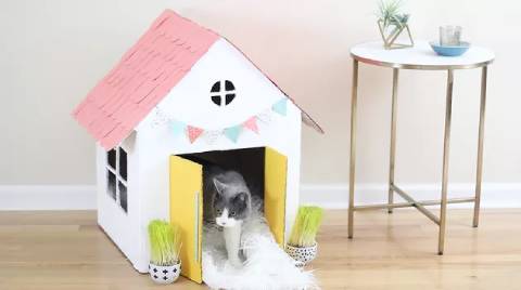 12 DIY Cardboard Cat House Plans You Can Build Today (With Pictures) | Hepper