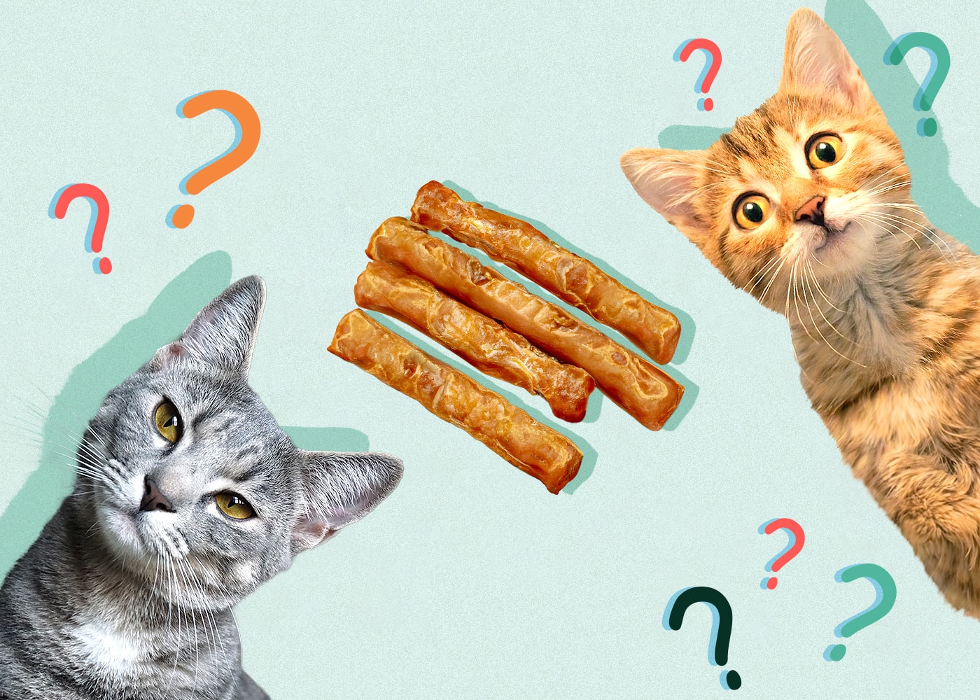 Can Cats Eat Slim Jims? Nutrition Facts & Safety Guide Hepper