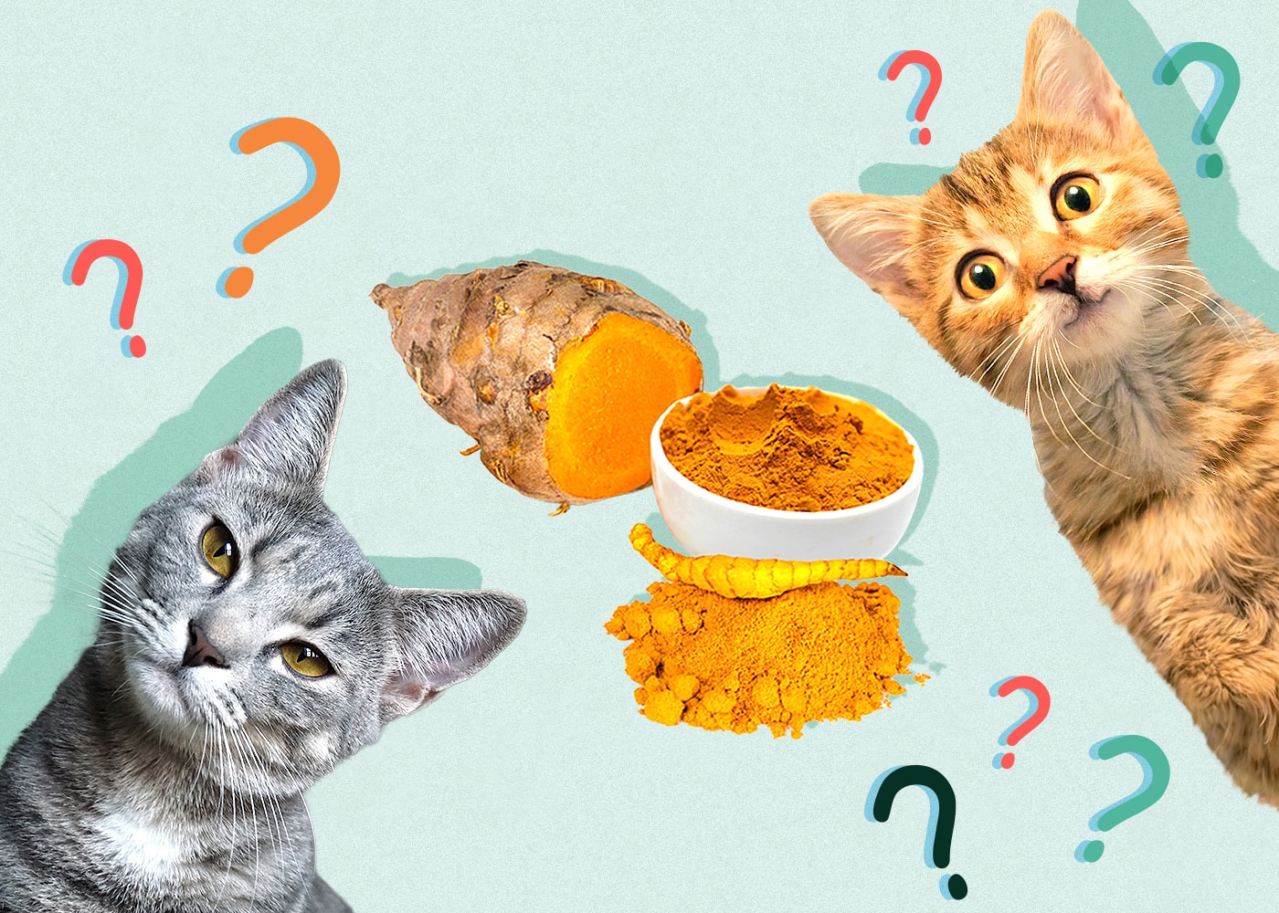 Curcumin foods