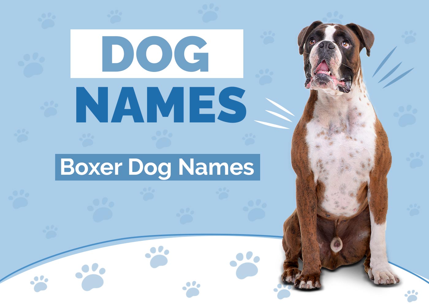 Boxer Dog Names