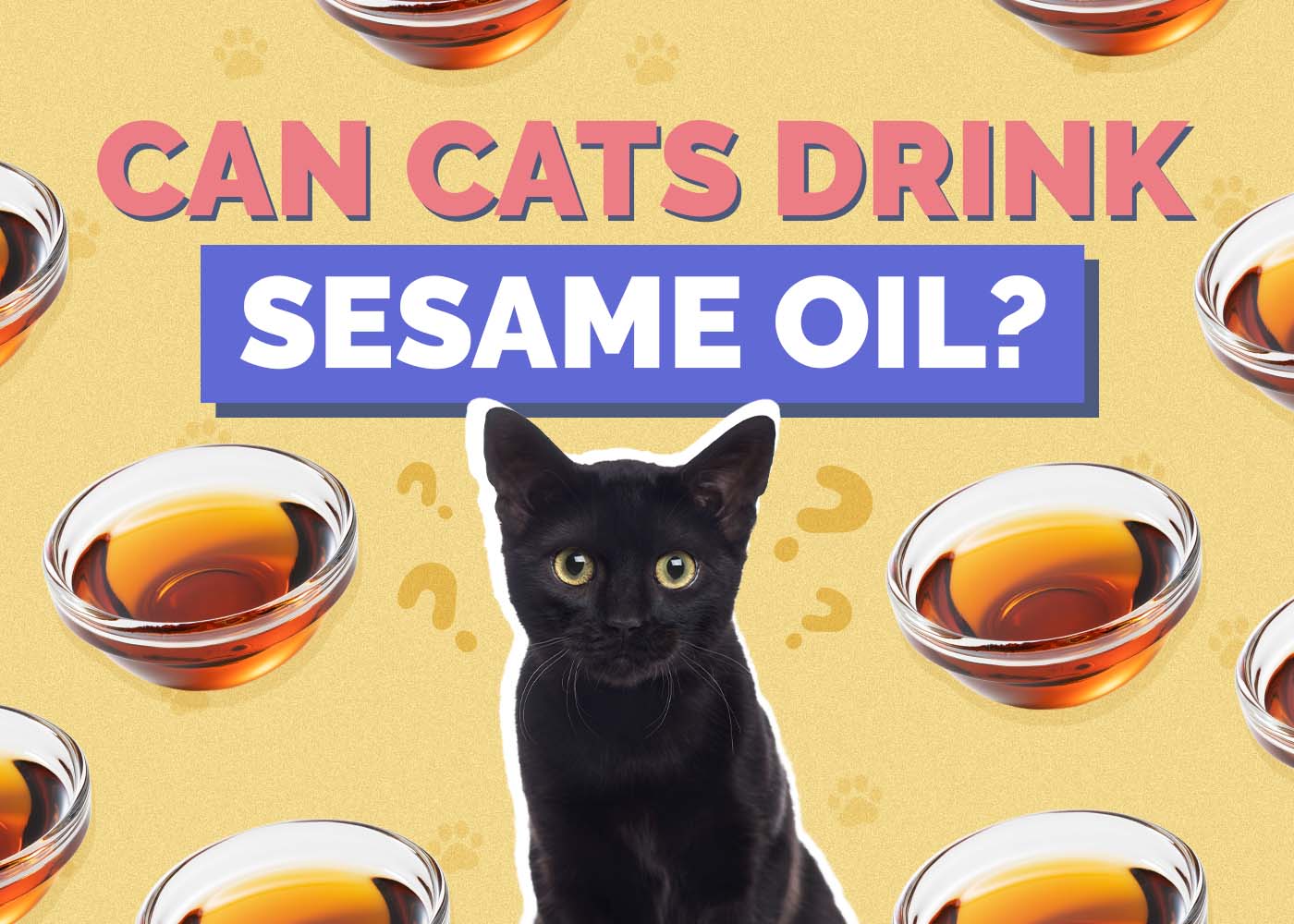 Hepper_Can Cats Drink_Sesame Oil
