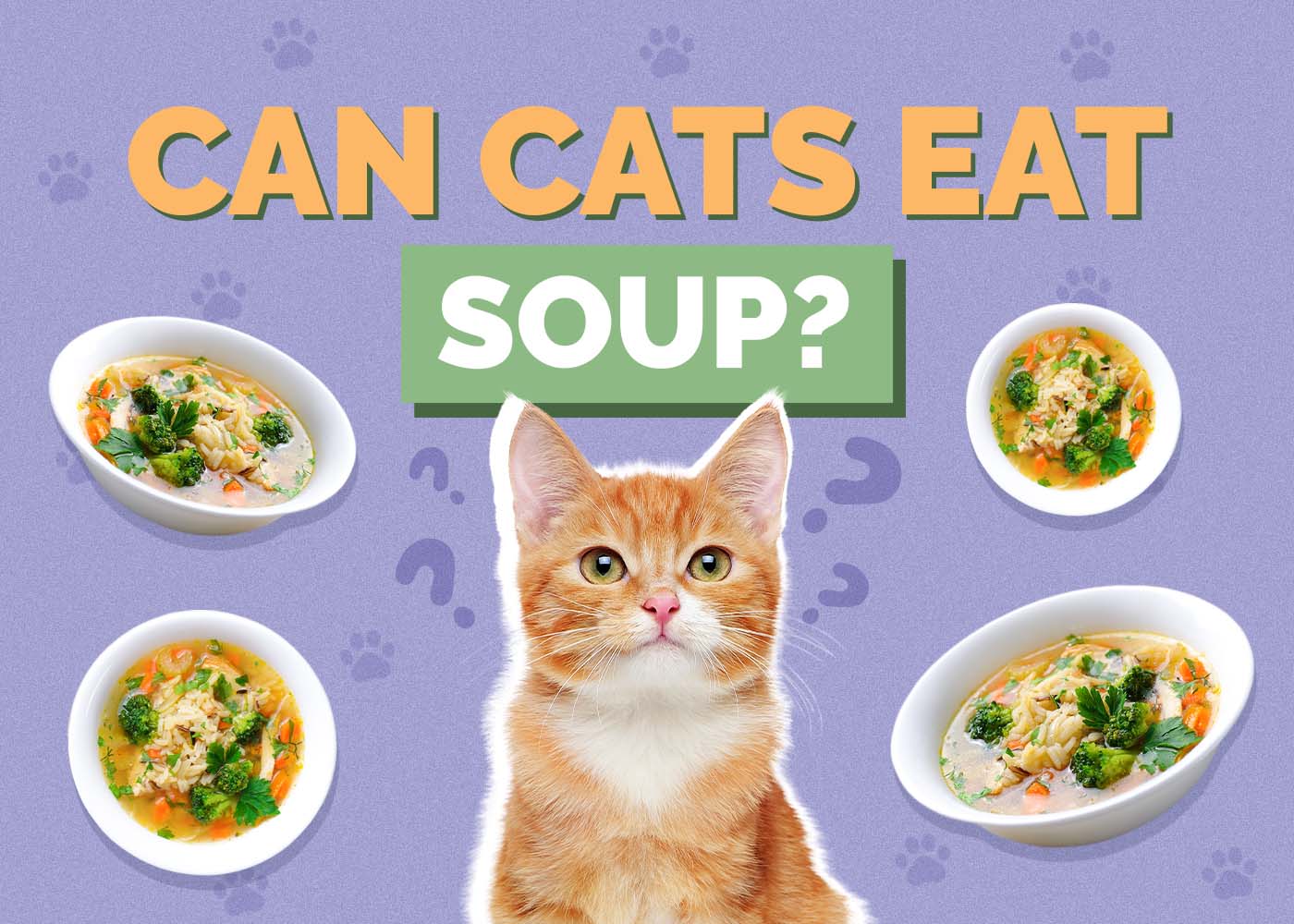 Can cats eat soup sales