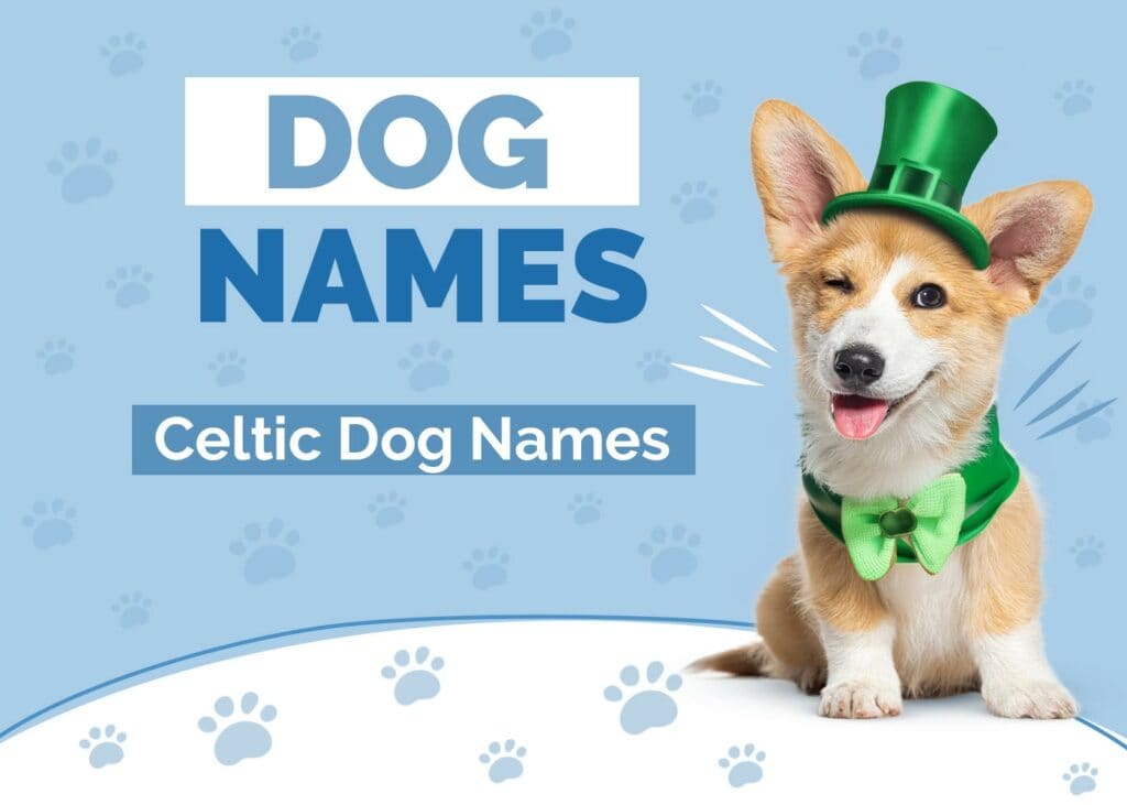 Celtic Dog Names