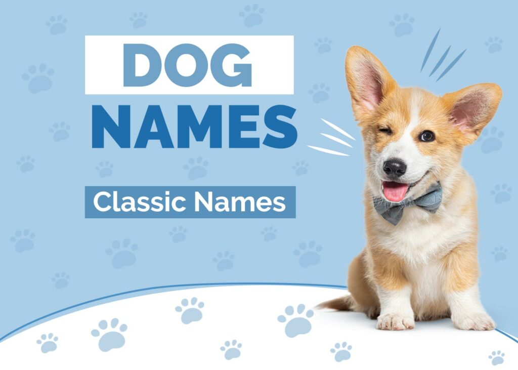 Classic Dog Names