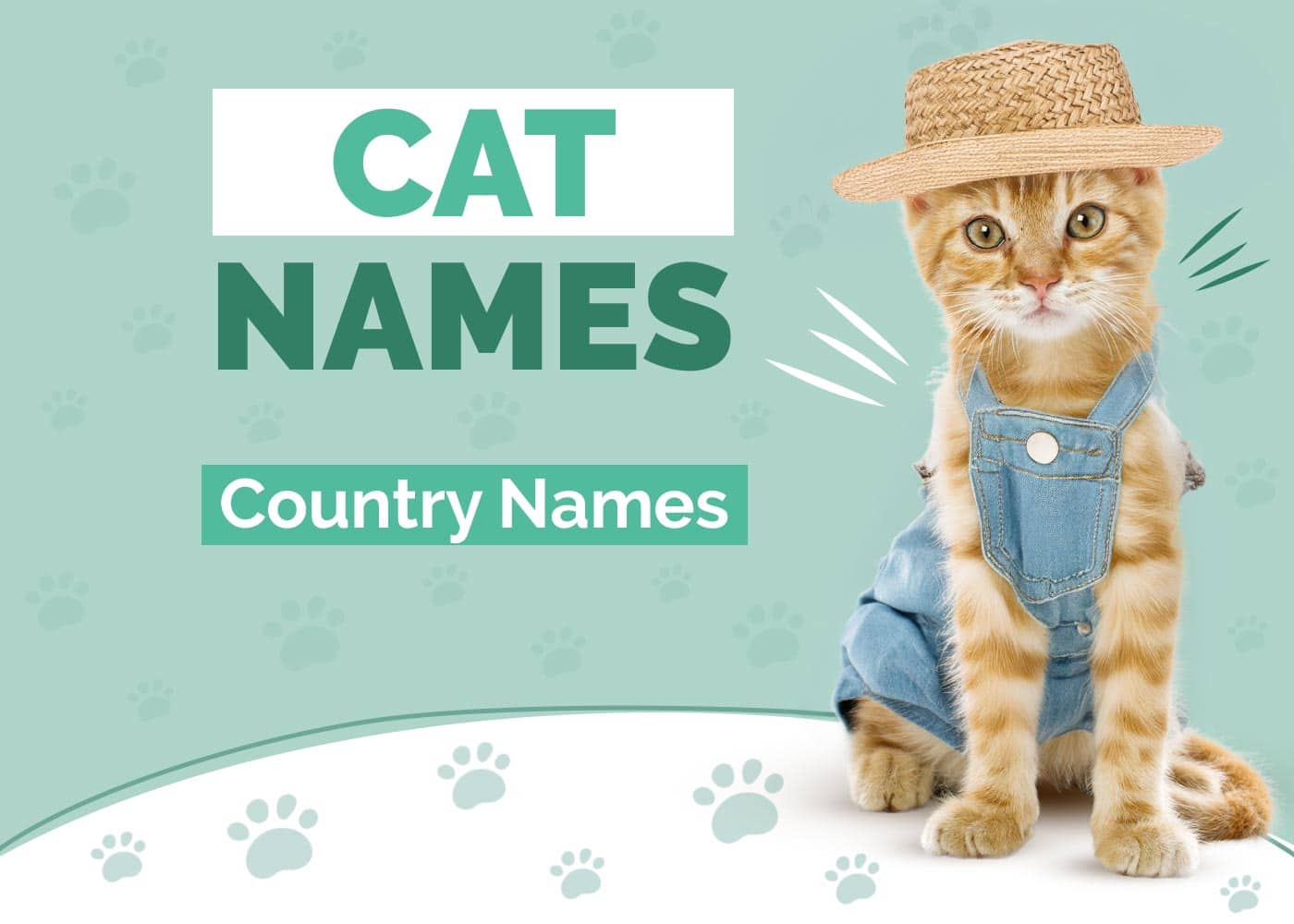120 Country Cat Names: Our Top Picks For Your Classic & Western Cat