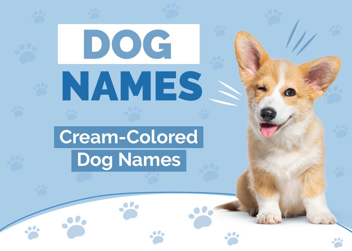 100+ CreamColored Dog Names Ideas for Beige & Tan Coats Hepper