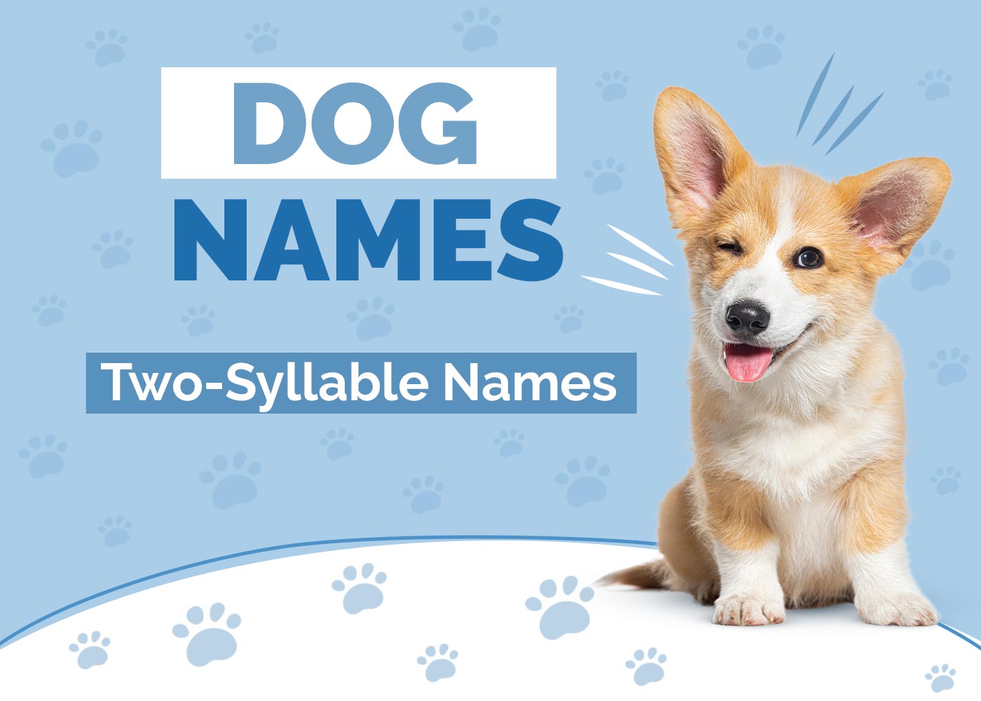 100+ Two Syllable Dog Names Simple, Unique & Popular Ideas Hepper