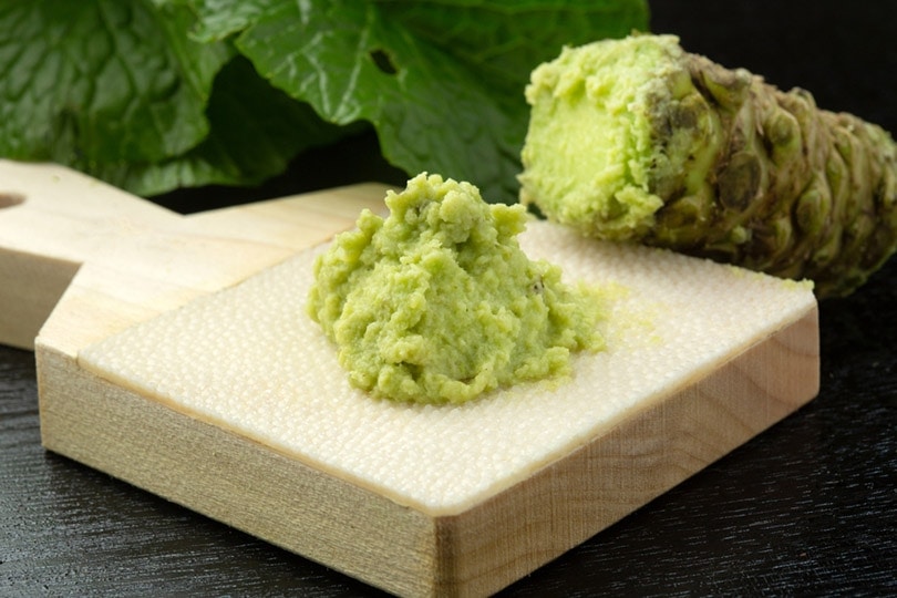 Japanese horseradish wasabi