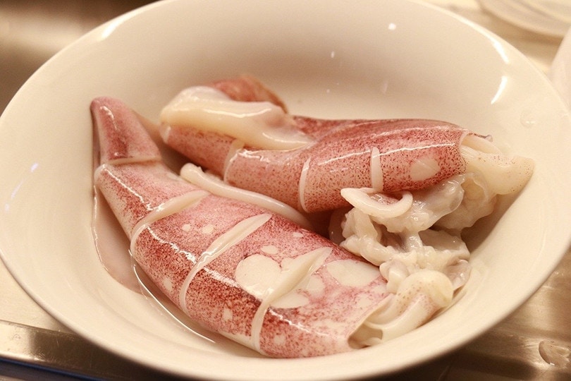 Raw Squid