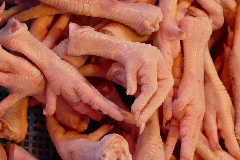 Raw chicken feet in a tray