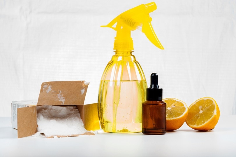 Stain Remover