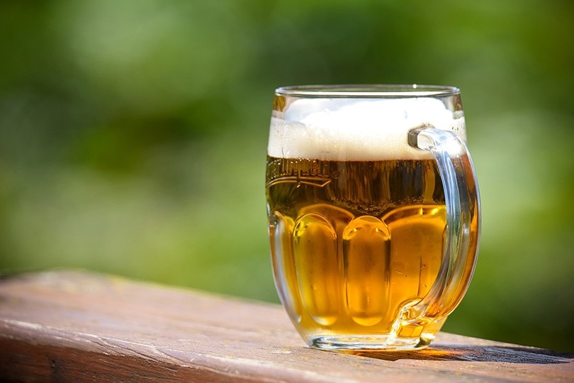 a glass of beer on a wooden surface
