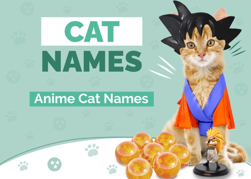 anime-cat-names