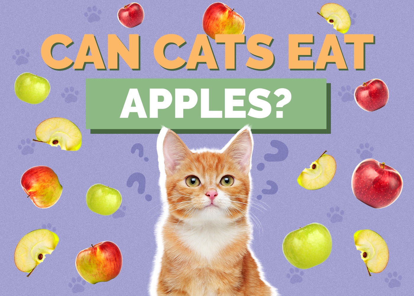 Can Cats Eat apples