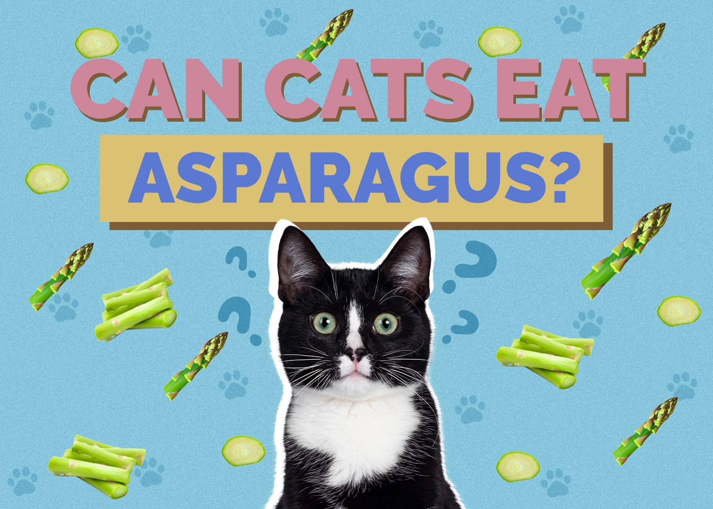 Can Cats Eat asparagus