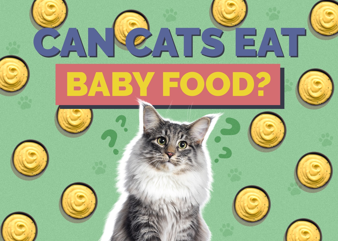 Cats eating on sale baby food