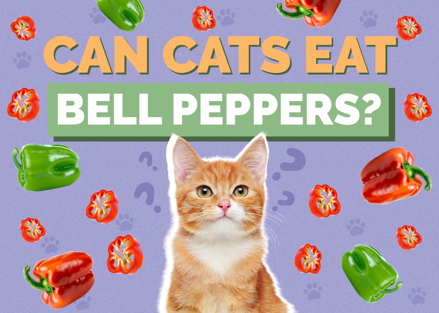 Can Cats Eat bell-peppers