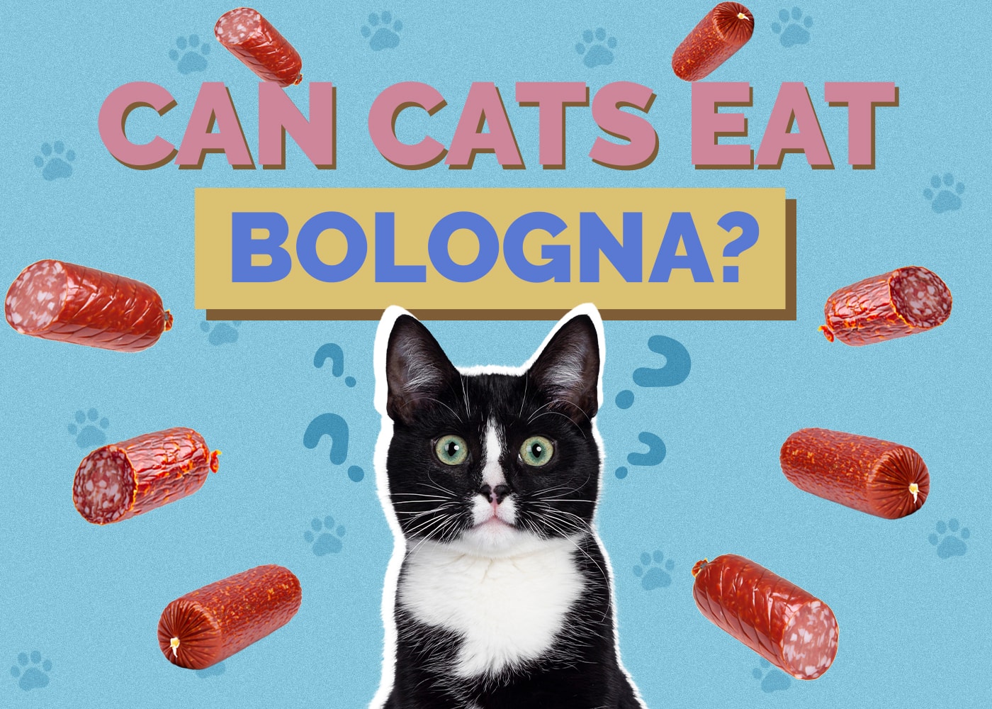 Can Cats Eat Bologna  : Discover the Truth about Feeding Your Feline Friend