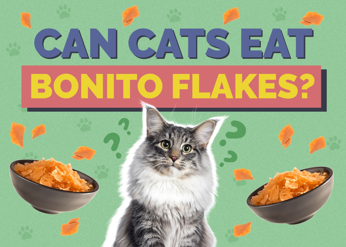 Can Cats Eat bonito-flakes